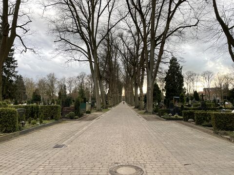 Zentralfriedhof.jpg